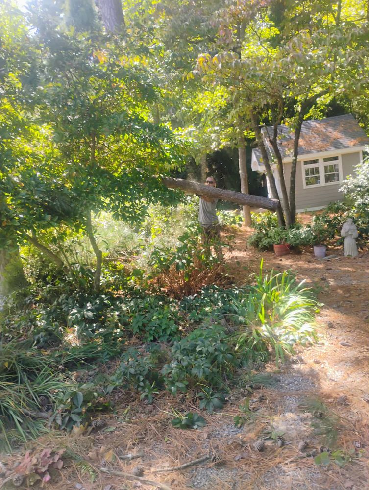 Tree Services for Total Tree Care in Erwin, North Carolina