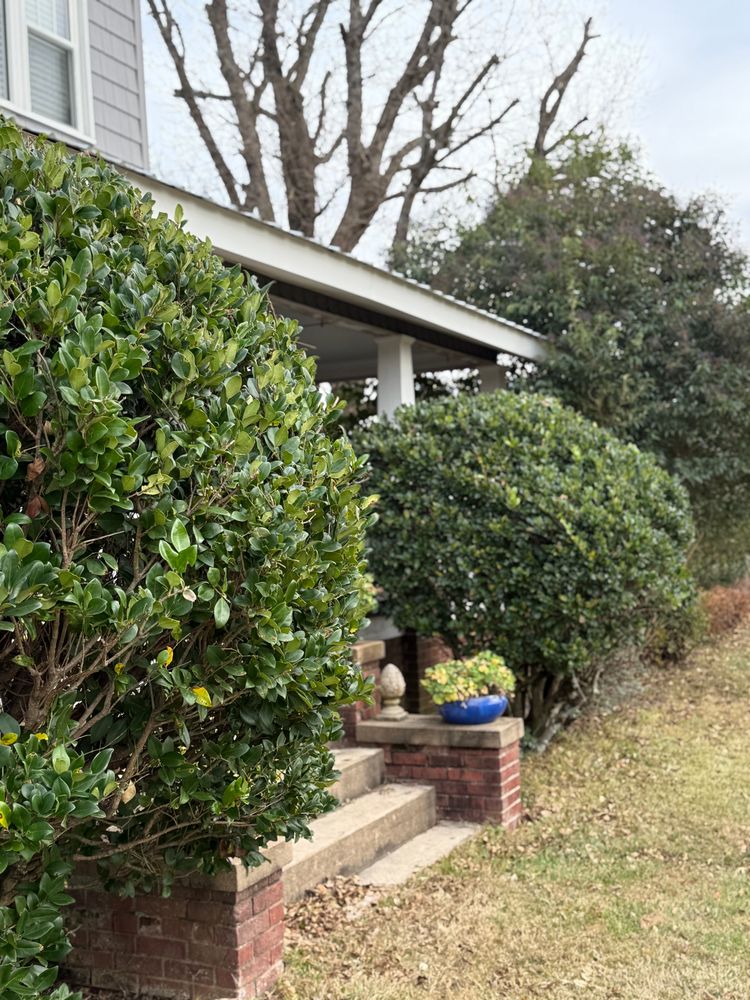 All Photos for CST Dirt Solutions in Rowan, NC