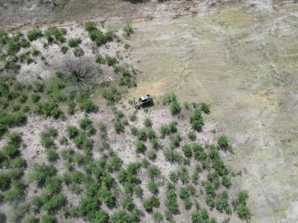 All Photos for Hernandez Land Clearing Services in Alice, TX