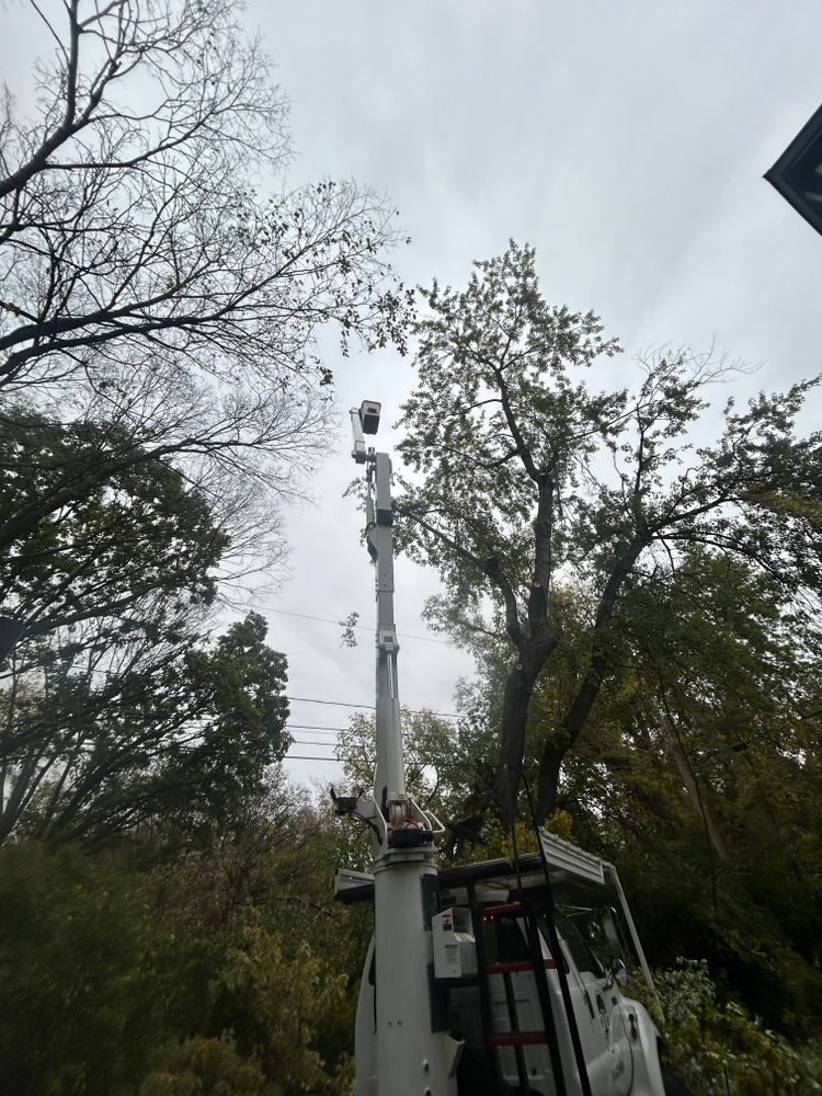 All Photos for Cross Family Tree Service in Kearney, MO