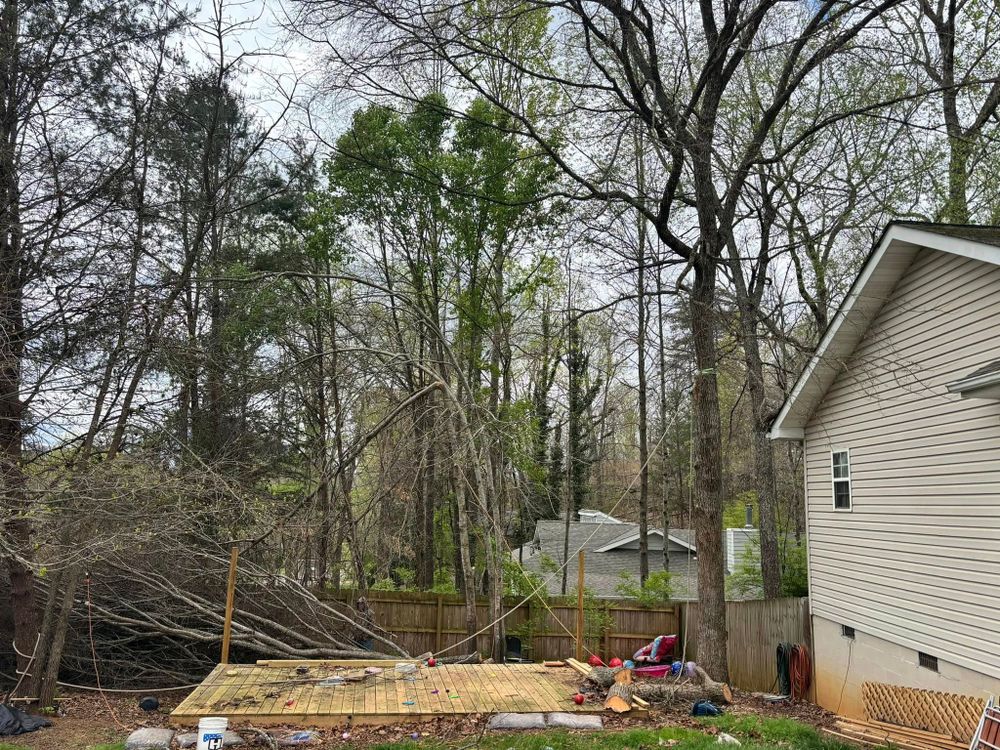 All Photos for Wade's Family Tree Service in Townsend, TN