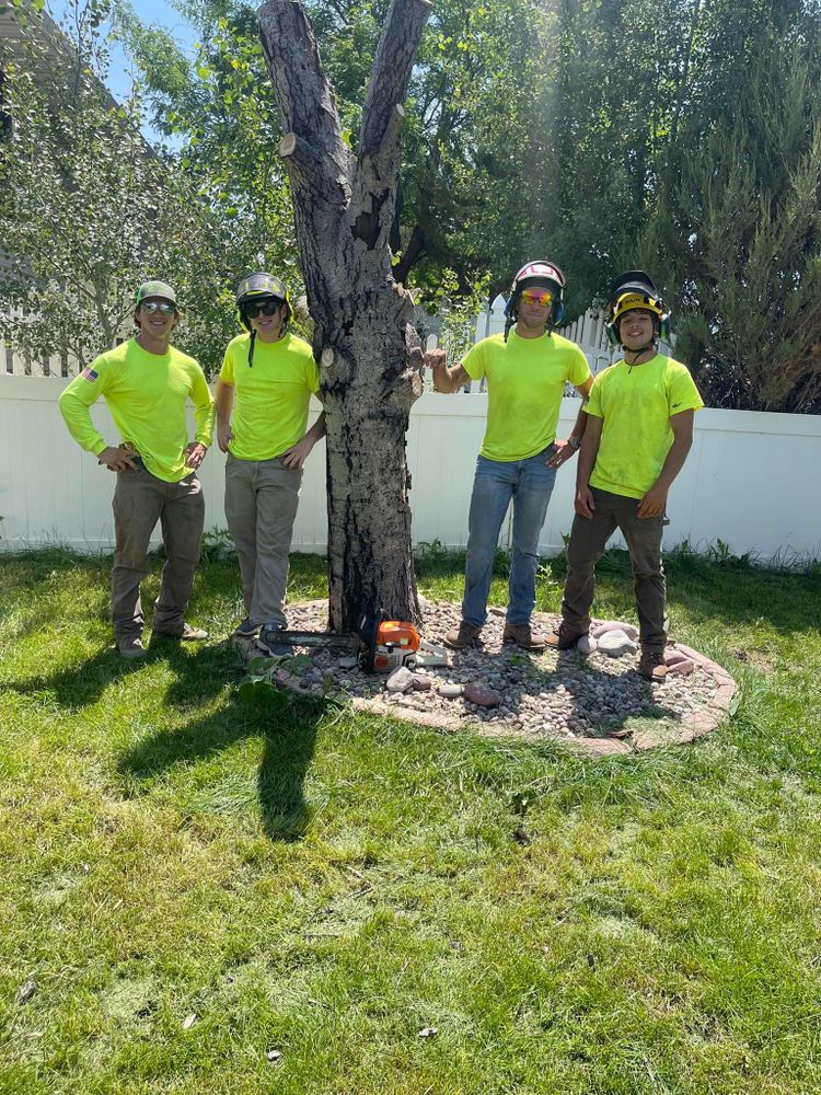 Other Services for Clean Cut Tree Service in Gillette, WY