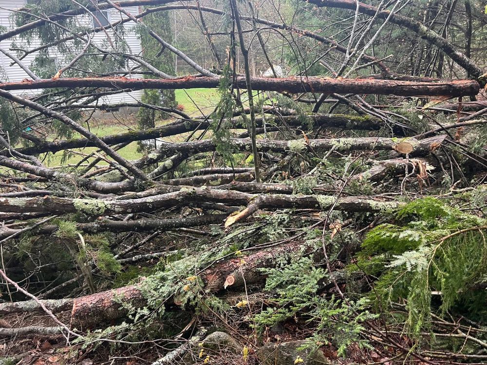 Our Tree Removal service provides safe, efficient removal of unwanted or hazardous trees, including trees that clients want removed for room building, a garage yard expansion, ensuring your property's beauty and safety while minimizing environmental impact, all handled by our experienced and professional team. for Abair Tree Service in Weare, NH