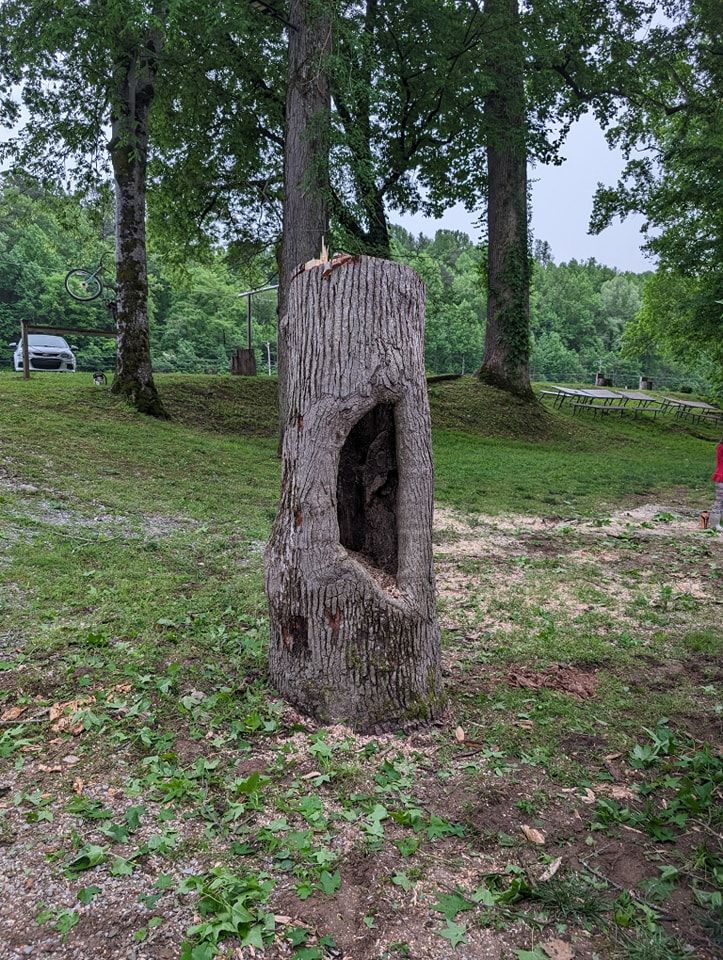 All Photos for Wade's Family Tree Service in Townsend, TN