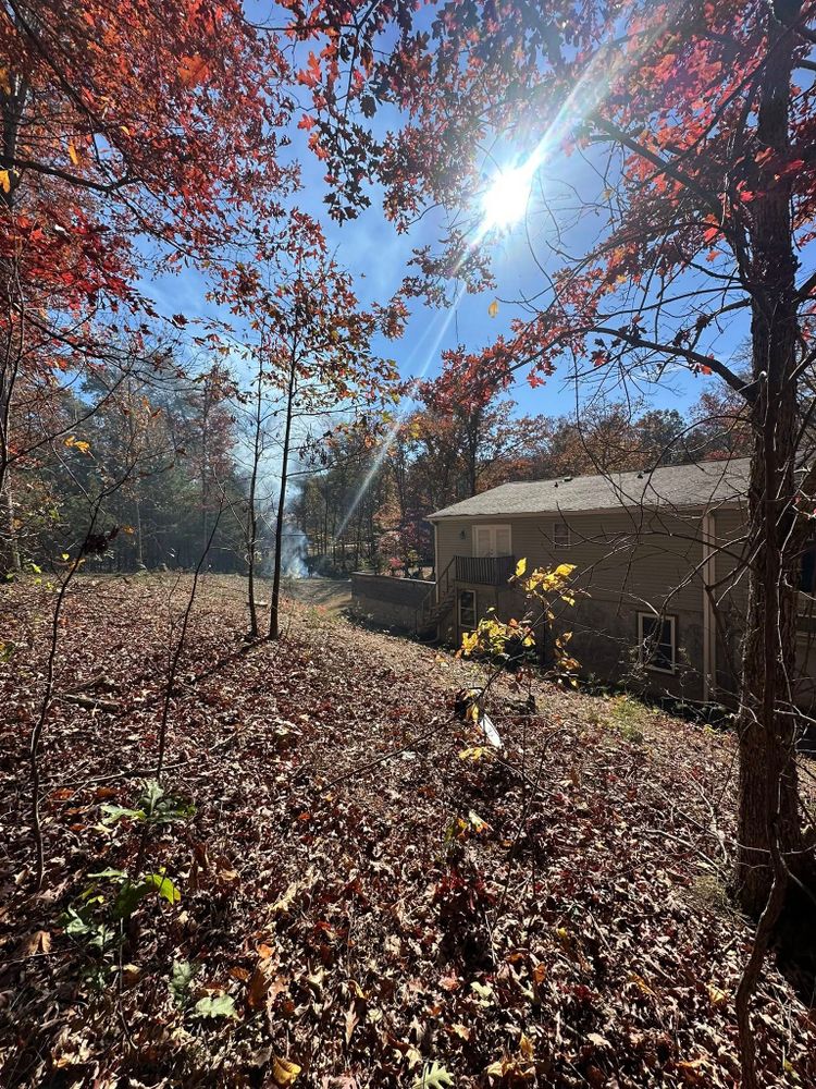 Our Fall Clean-Up service ensures your property remains tidy and healthy by removing leaves, branches, and debris. Prepare your landscape for winter with our thorough professional care for optimal growth next spring. for SEALY TREE and LAWN in Cleveland, TN