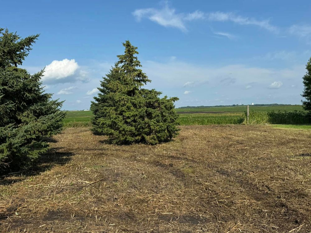 Land Clearing for RTK Co. Land Management in Raymond, MN