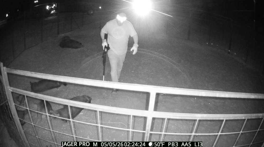 All Photos for Havoc Hog Control in Molino, FL