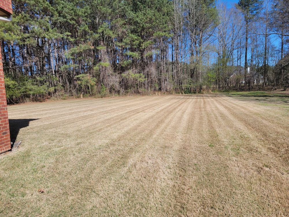 Lawn Care for Fantastic Lawn Care LLC in Fayetteville, GA
