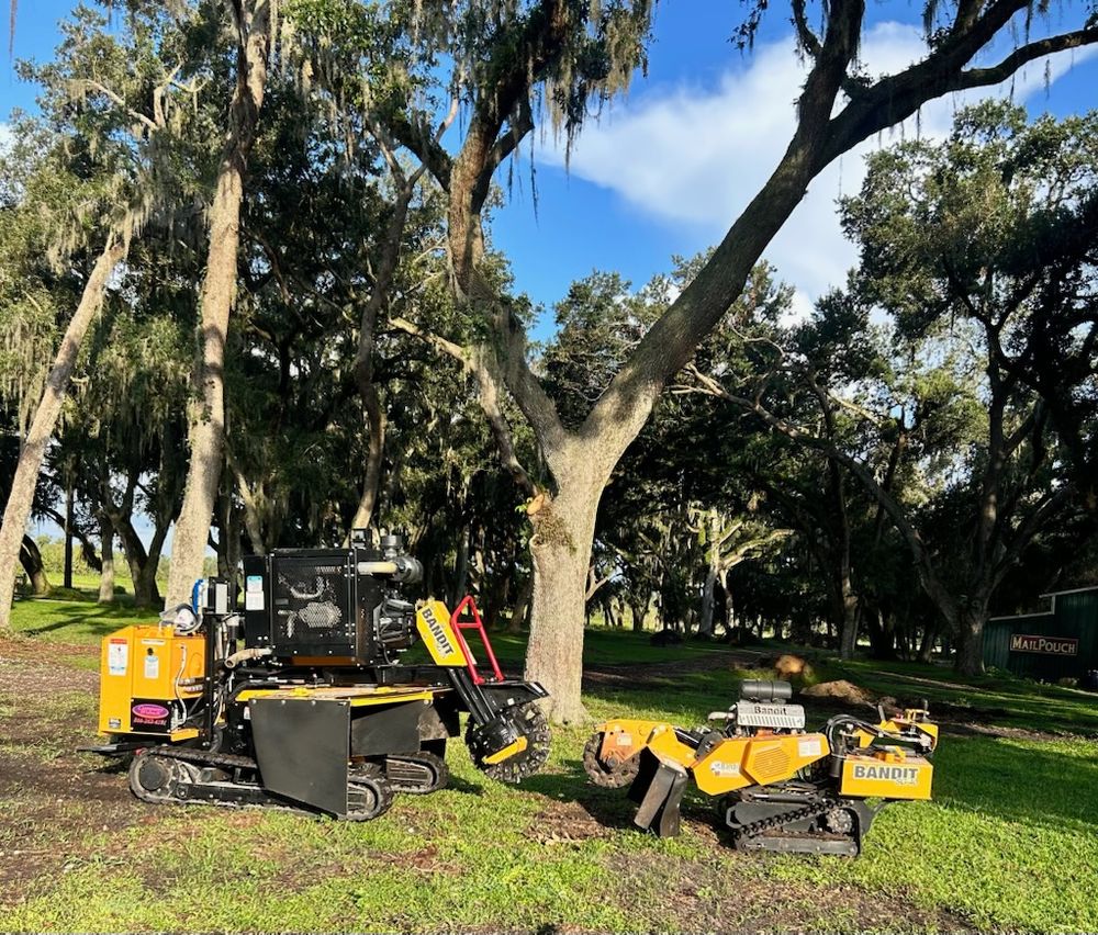 Our Stump Removal service efficiently eliminates unsightly stumps, enhancing your landscape’s appearance and safety. Trust our skilled team to clear unwanted stumps, ensuring a clean and pristine outdoor environment for your home. for Greene Acres Stump Grinding in Plant City, FL