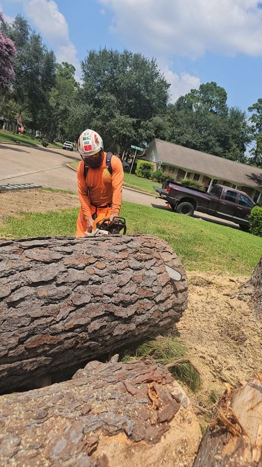 All Photos for Servin's Tree Care  in Houston, TX