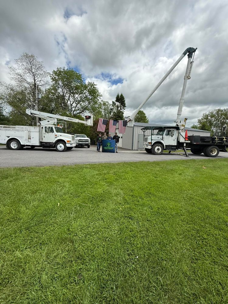 All Photos for Lovenguth Logging and Tree Service in West Monroe, NY