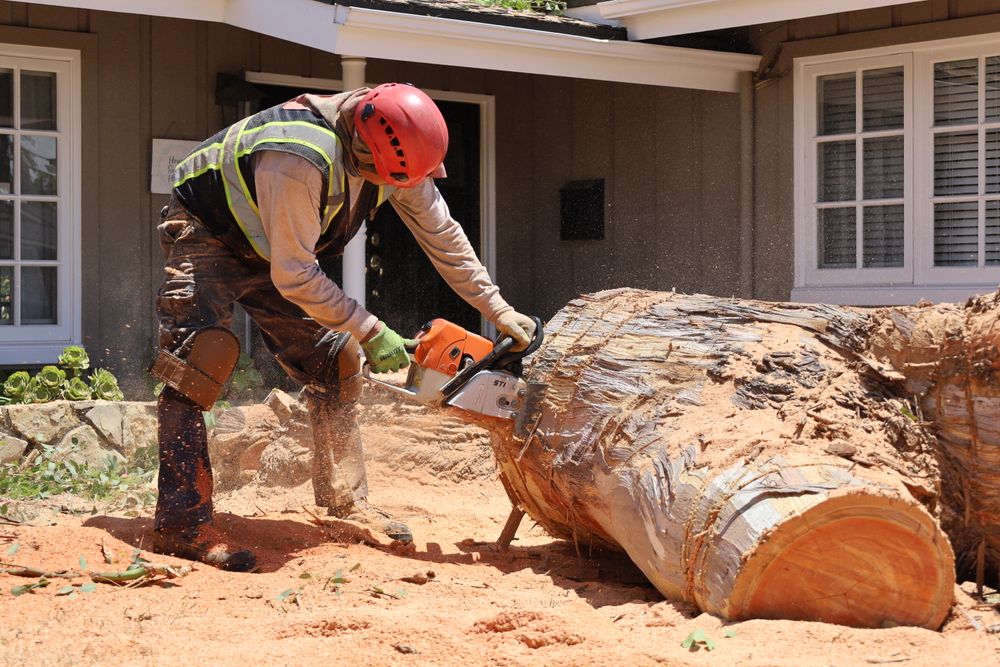 At times, tree removal becomes a necessity in arboriculture and residential settings. Our expert tree removal service provides safe solutions to clear the path for a fresh start. for ARKADIA in Orange County, CA