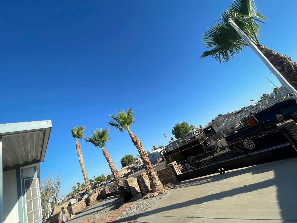 All Photos for Oliver L. Palm & Tree services in Yuma County, AZ