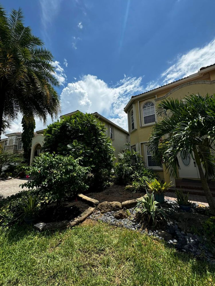 Tree Removal for Outdoor Solutions Of The Glades in Hendry County, FL