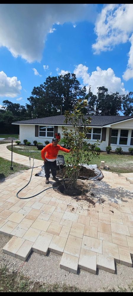 All Photos for Tezna Landscaping, Trees & Pavers in Valrico, FL