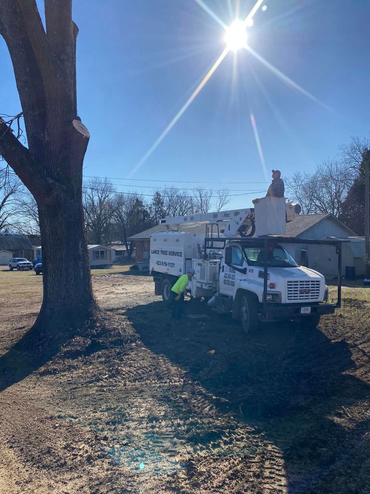 Our professional Tree Removal service safely and efficiently eliminates unwanted trees from your property, enhancing safety, aesthetics, and overall landscape health. Contact us today for a free consultation. for Lance Tree Service in Tellico Plains ,  TN