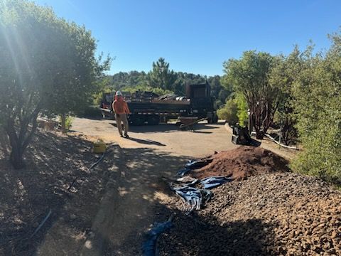 Property Clean Up for The Tree Fairy in Temecula, CA