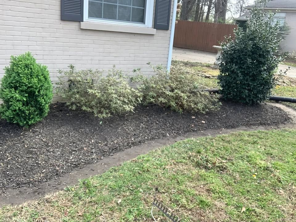 All Photos for Apex Lawn & Landscaping INC in Dyersburg, TN