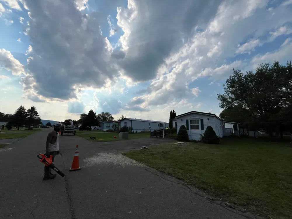 All Photos for Licensed to Cut Tree Service in Athens, PA