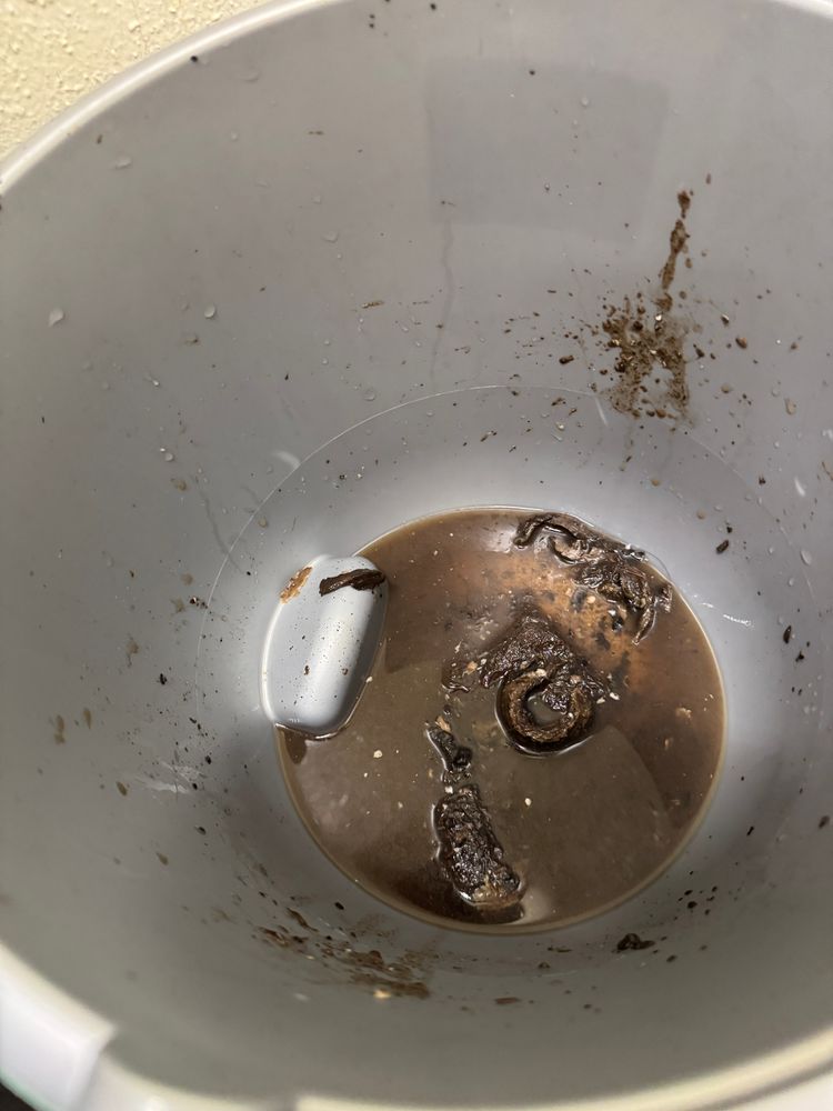 All Photos for Sanchez Paint Pros in Frederick, MD