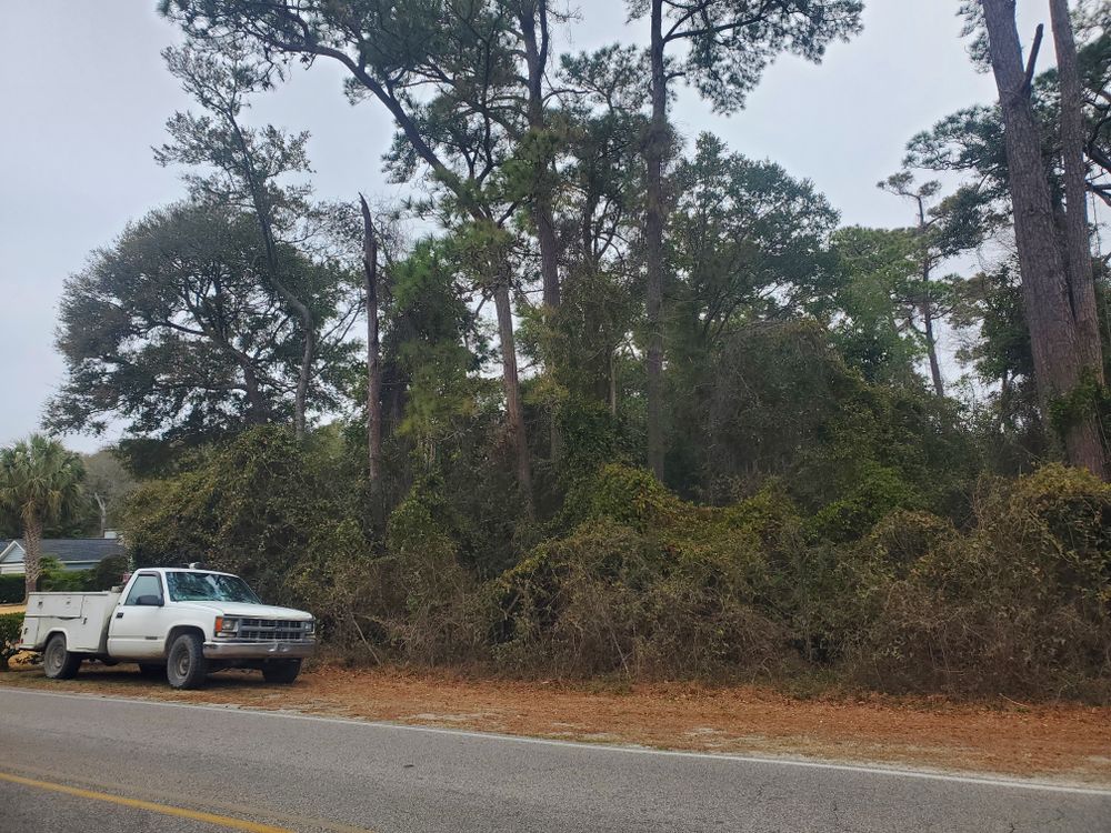 All Photos for TJ Farm and Land Management in Loris, SC