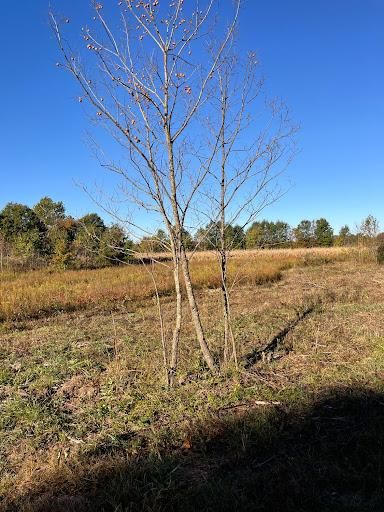 All Photos for KG Ground Development and Transportation in Newton, IL