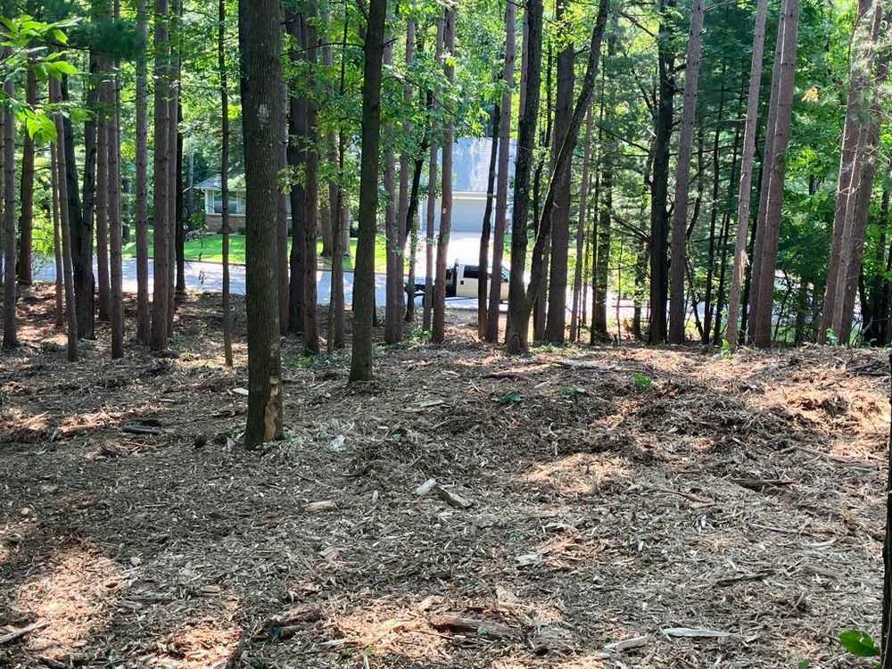 Land Clearing for Brush Busters in Wausau, WI