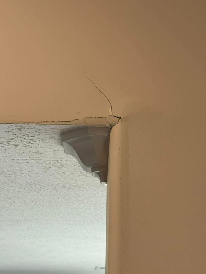 All Photos for Apex Lawn & Landscaping INC in Dyersburg, TN