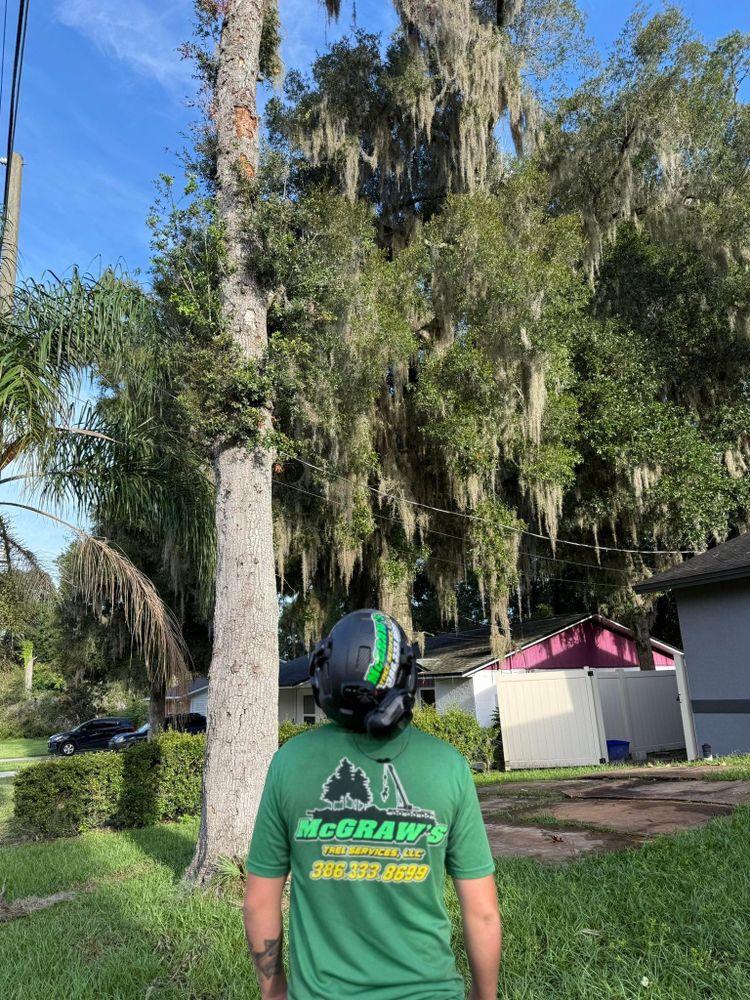 All Photos for McGraw’s Lawn and Tree Service in DeLand, FL