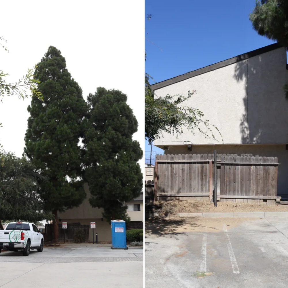 Tree Removal & Stump Grinding for ARKADIA in Orange County, CA