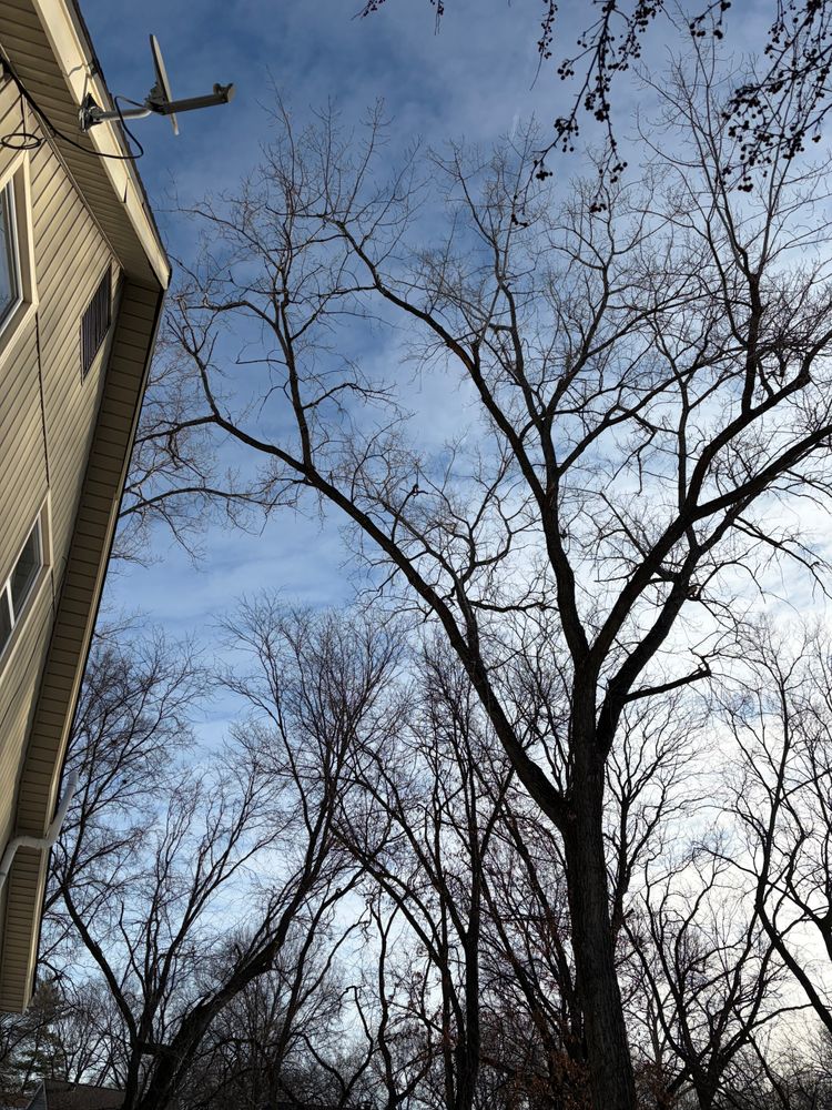 All Photos for Cross Family Tree Service in Kearney, MO