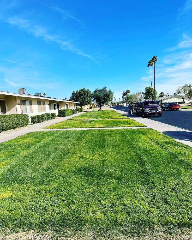 Lawn maintenance for American Dream Landscape Company in Surprise, AZ