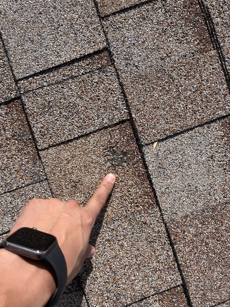 All Photos for Divine Roofing LLC in Severance, CO