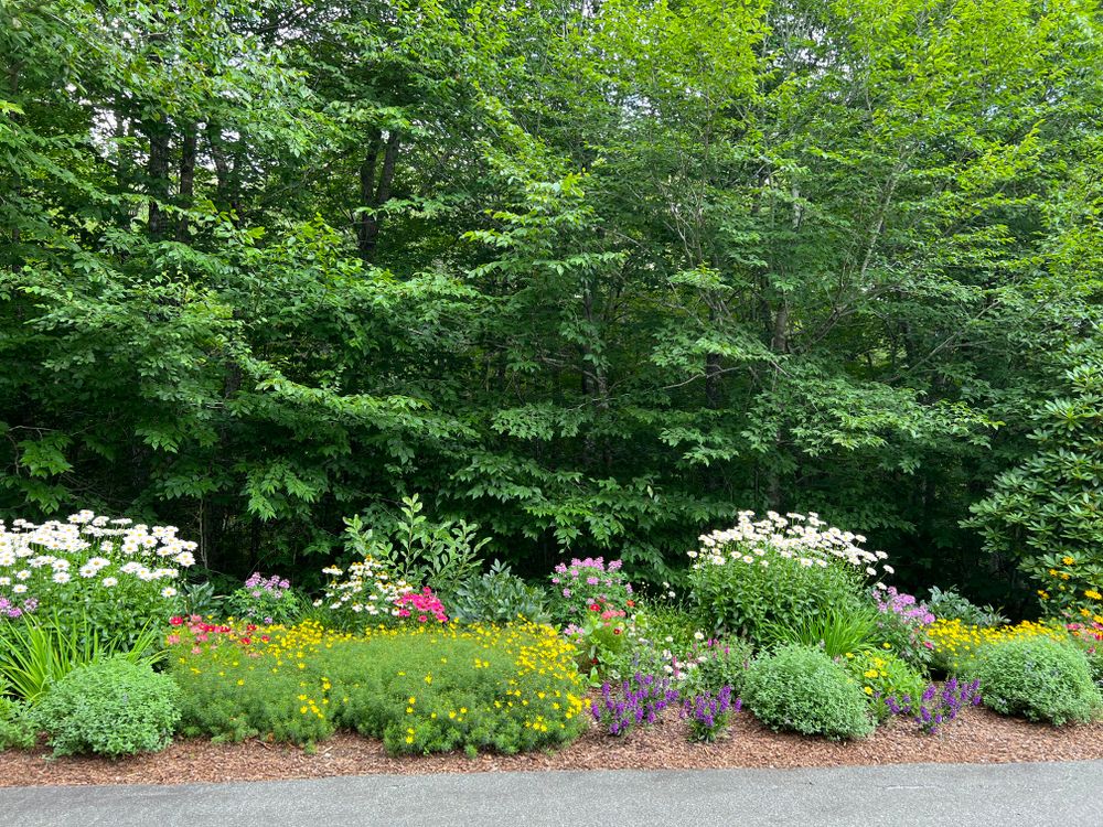 All Photos for Sustainable Lawn and Landscape in Banner Elk, NC