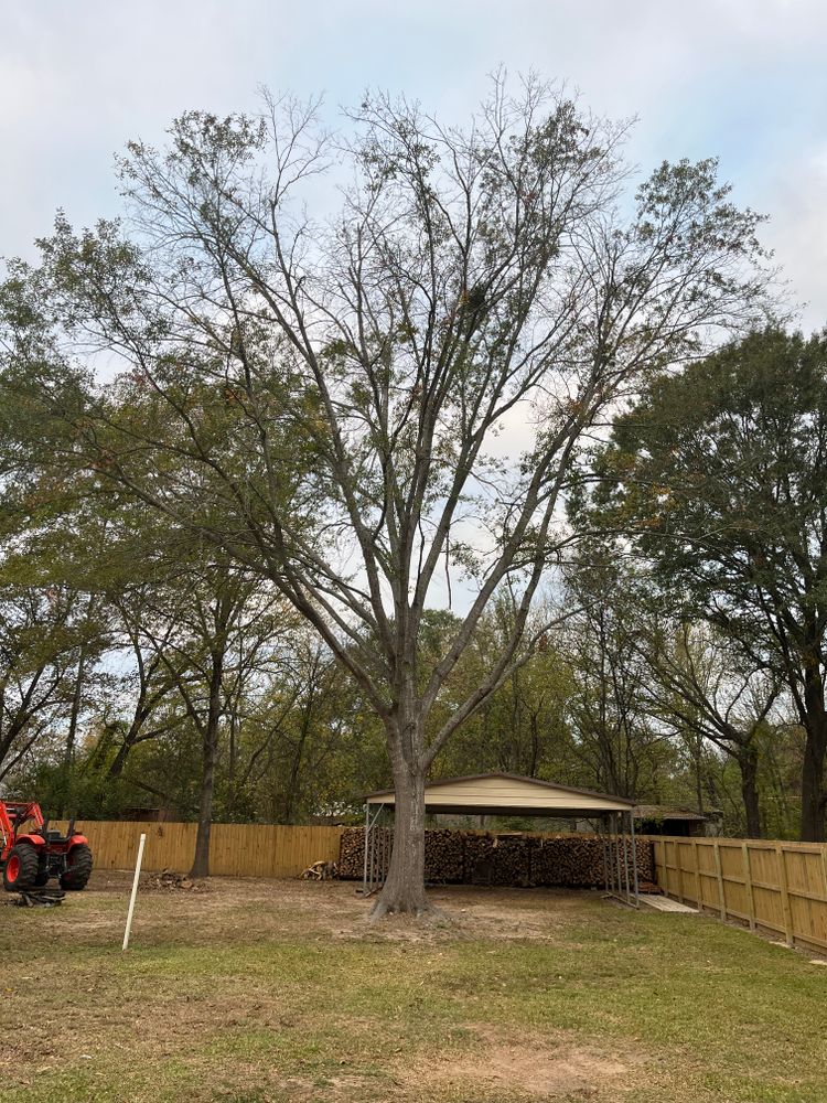 All Photos for JC Land and Tree Service in Kilgore, TX