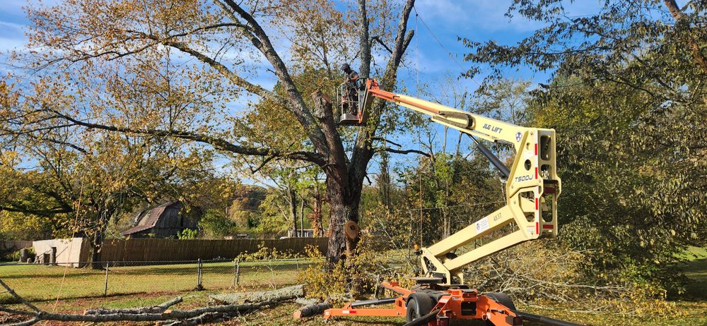 All Photos for Tree Fellers in Sumner County, TN