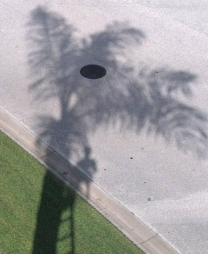 All Photos for Bills Tree Service in Valrico, FL