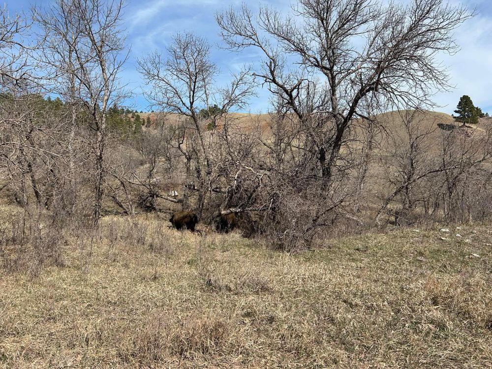 All Photos for Rockstarz Concrete Design in Spearfish, SD