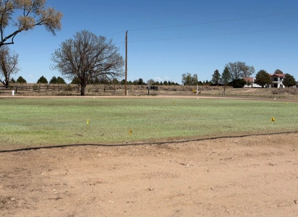 All Photos for Fair Weather, Inc in Rocky Ford, CO