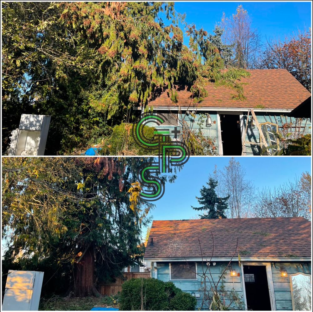 Roof and Gutter Cleaning for Golovin Property Services LLC in Marysville, WA