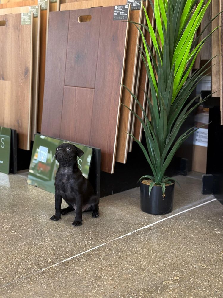 All Photos for Wall To Wall Flooring in Fort Worth, TX