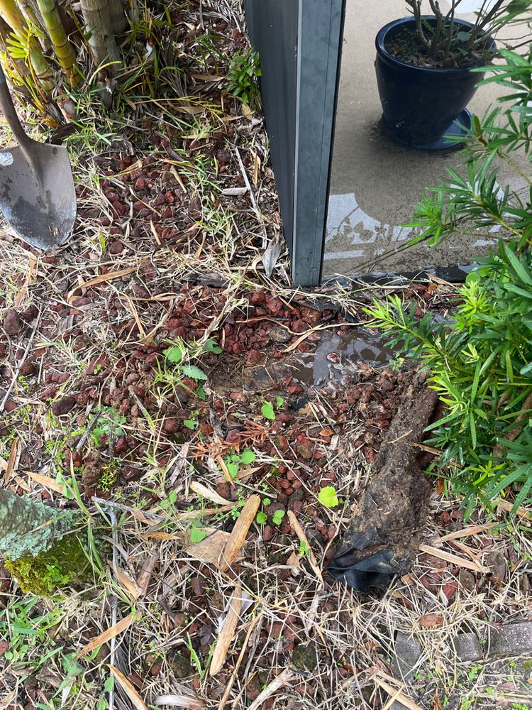 All Photos for Ludlows Services in Clermont, FL