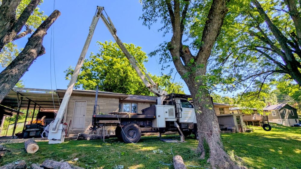 All Photos for Lightning Tree Service in Corydon, IN