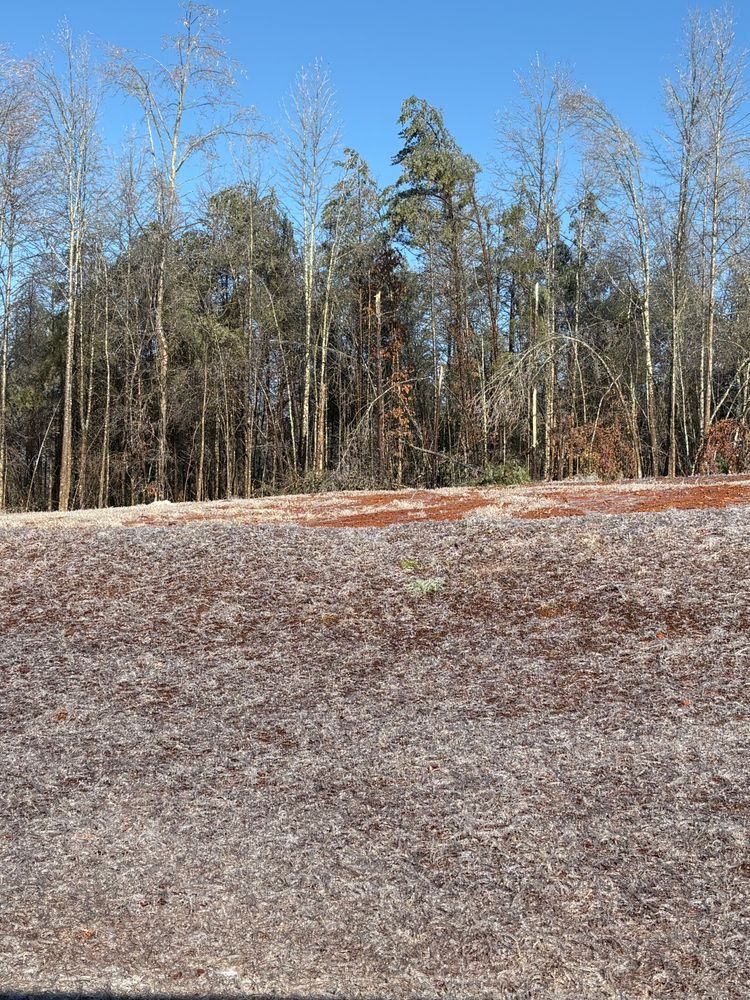 All Photos for Taylormade Lawn Management in Clarkesville, GA