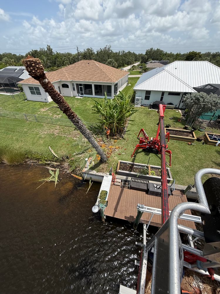 Our Tree Removal service offers safe and efficient removal of unwanted or hazardous trees, enhancing your property's safety and aesthetics. Trust our experienced team for seamless, eco-friendly tree management solutions. for MX Trees LLC in Englewood, FL