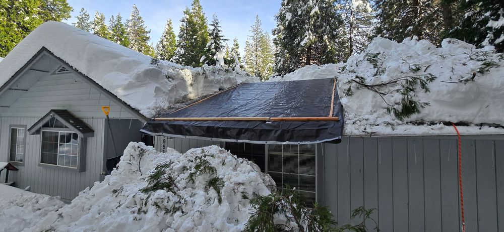 All Photos for George Staddan's Professional Tree Care in Placerville, CA