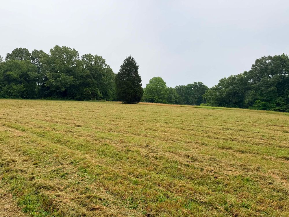 All Photos for 5 Star Land Management in Beech Bluff, TN