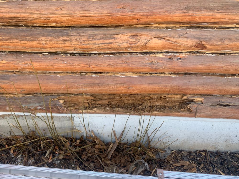 All Photos for Wild West Log home specialists in Corvallis, MT