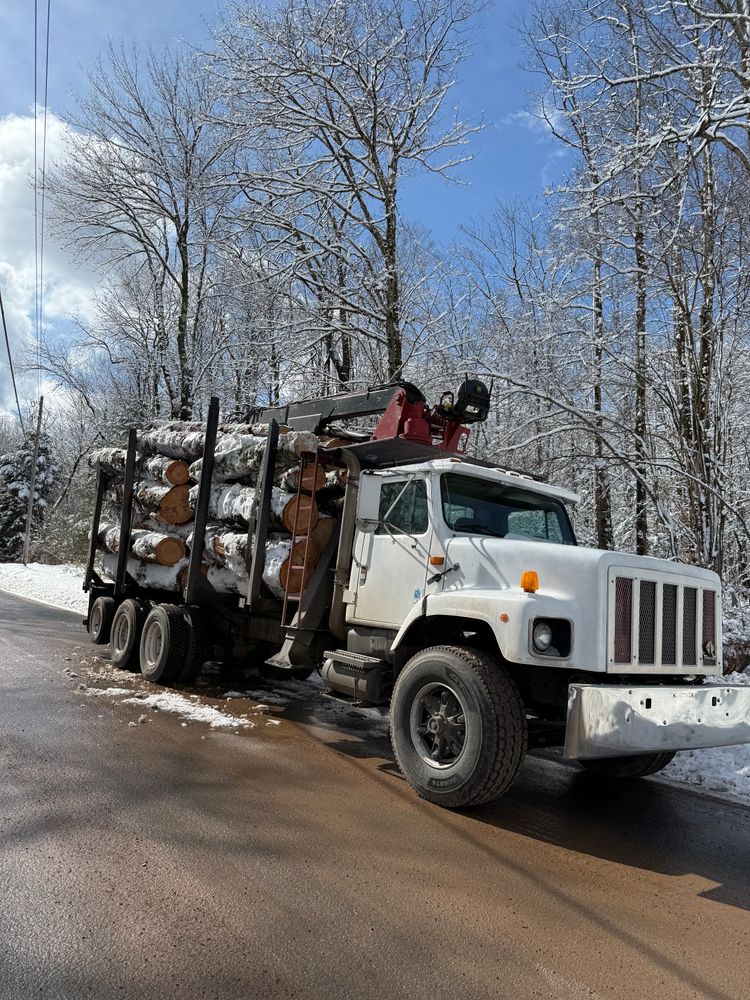 Timber Sales for Lovenguth Logging and Tree Service in West Monroe, NY