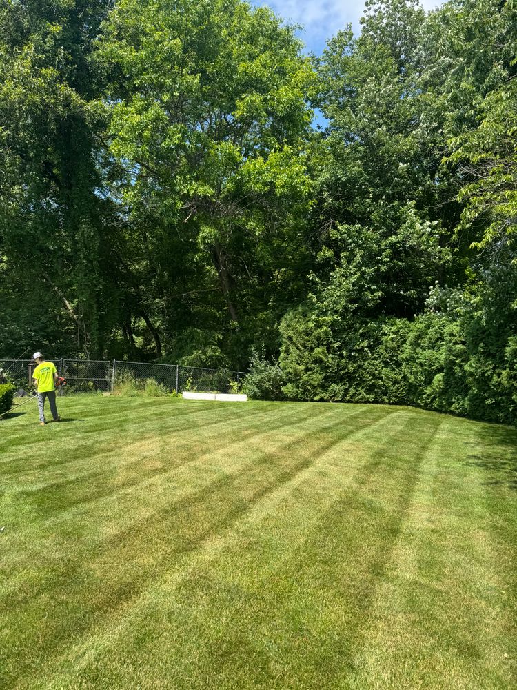 All Photos for Adams Landscaping in Springfield, MA